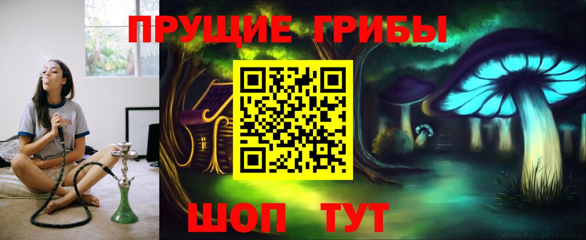 Галлюциногенные грибы Cubensis Лесозаводск
